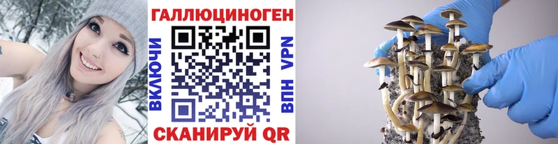 Псилоцибиновые грибы GOLDEN TEACHER  MEGA ТОР  Усть-Кут 